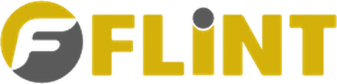 Flint International logo